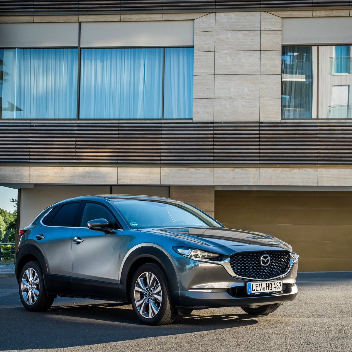 Mazda CX-30 (2019--&gt;&gt;)