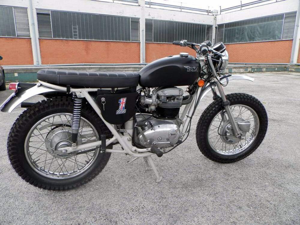 Bsa BSA A65 Lightning Scrambler   (3)