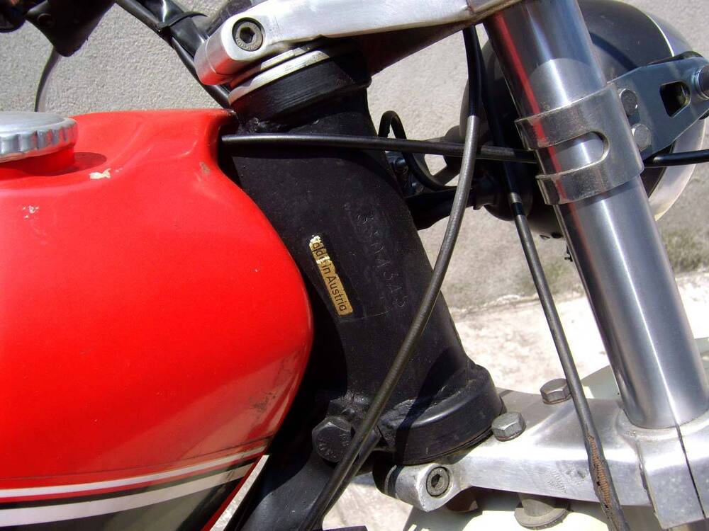 Puch MC 175 BASSOTTO (11)