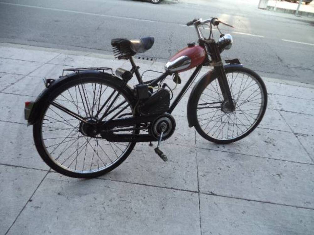 Bianchi AQUILOTTO (2)