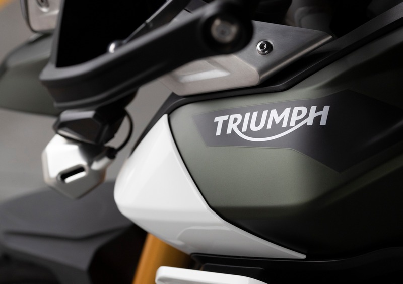 Triumph Tiger 900 Tiger 900 Rally Pro (2020 - 23) (21)