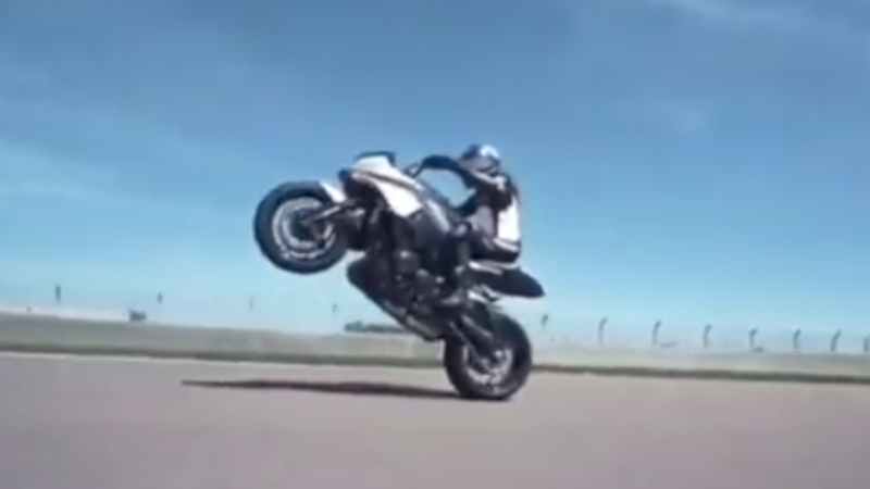 Video - Suzuki Katana stunt girls