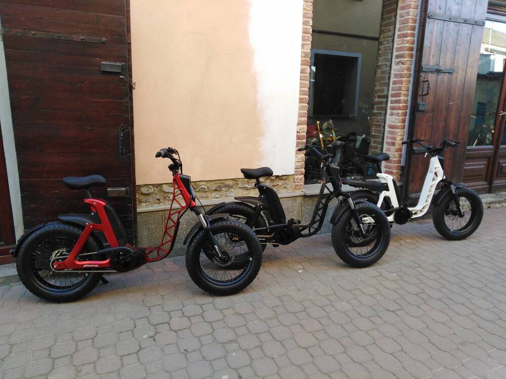 Fantic Motor Issimo (2019 - 23) (2)