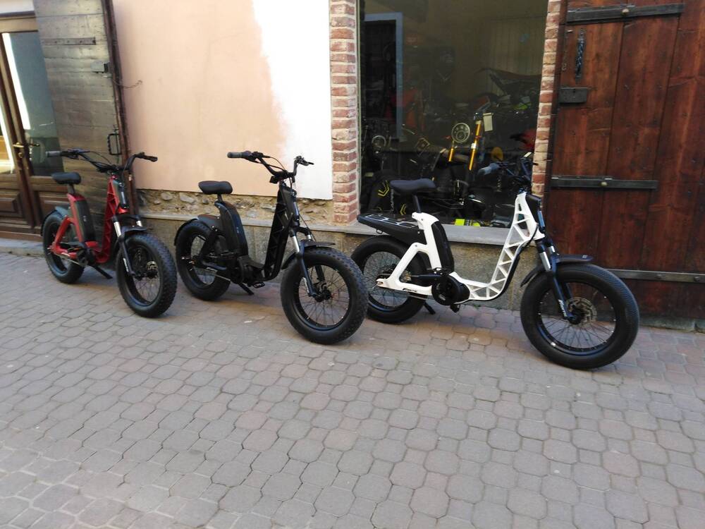 Fantic Motor Issimo (2019 - 23) (4)