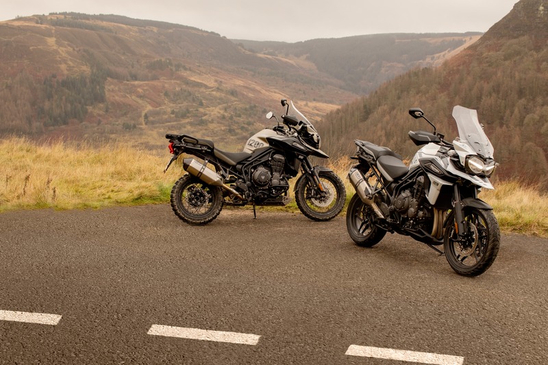 Triumph Tiger 1200, le nuove Desert e Alpine Edition 2020