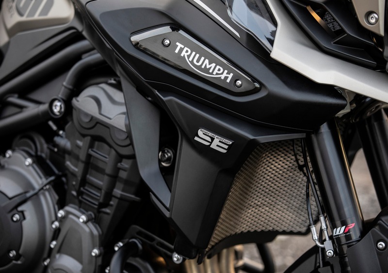 Triumph Tiger 1200 Tiger 1200 Alpine Edition (2020) (9)