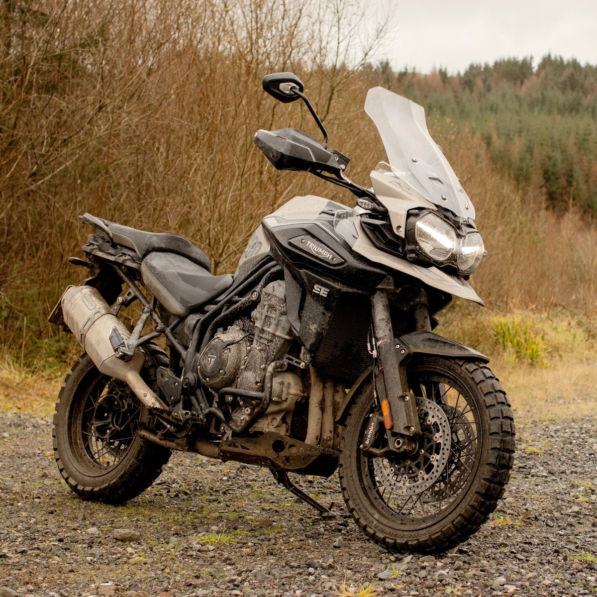 Triumph Tiger 1200 Desert Edition (2020)