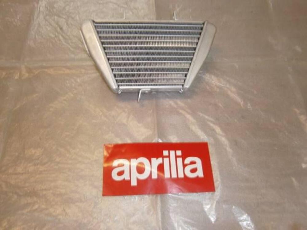 RADIATORE OLIO Aprilia