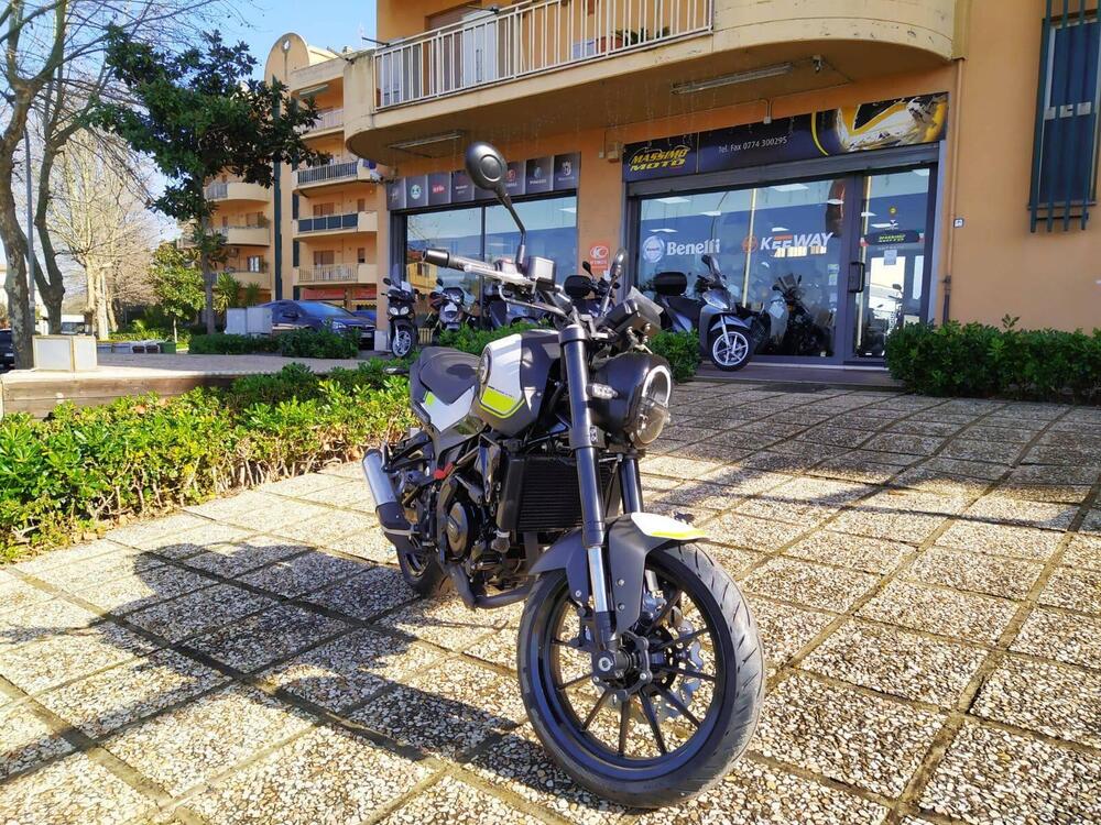 Benelli Leoncino 250 (2019 - 20) (5)