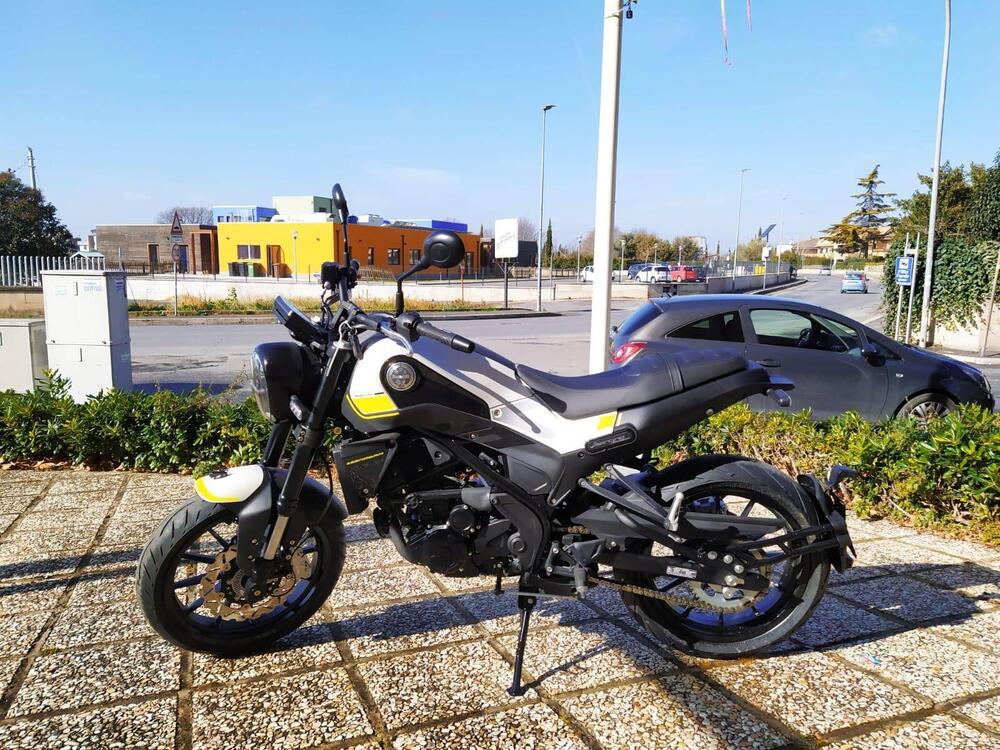 Benelli Leoncino 250 (2019 - 20) (6)