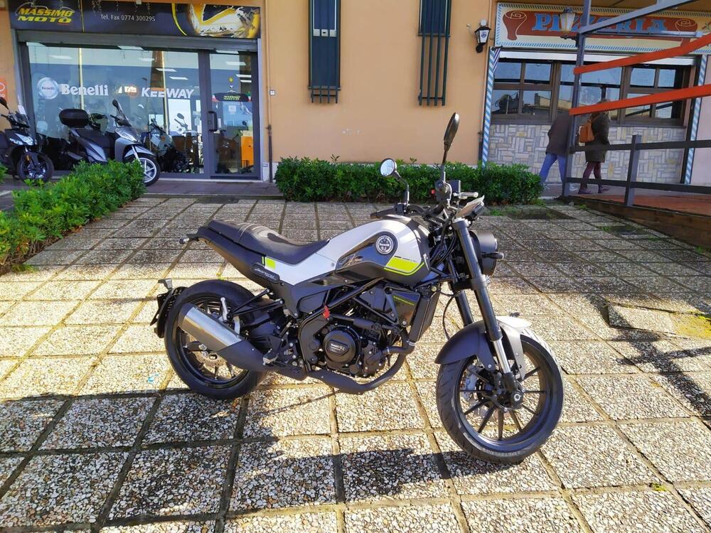 Benelli Leoncino 250 (2019 - 20) (7)