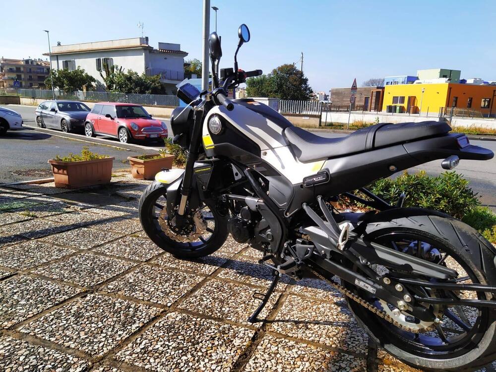 Benelli Leoncino 250 (2019 - 20) (8)