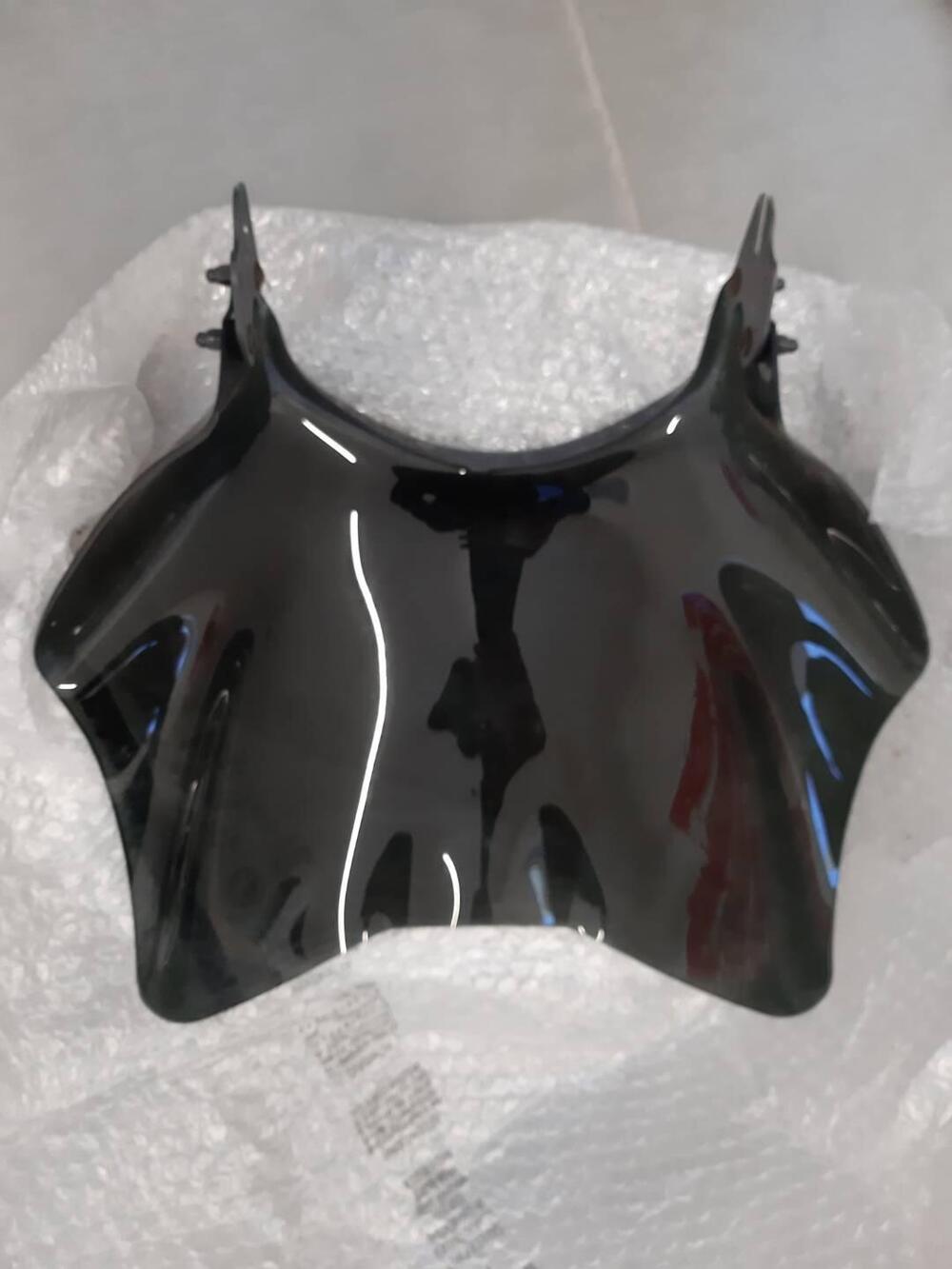 Cupolino Triumph Thunderbird 900 Motopoint Racing (2)