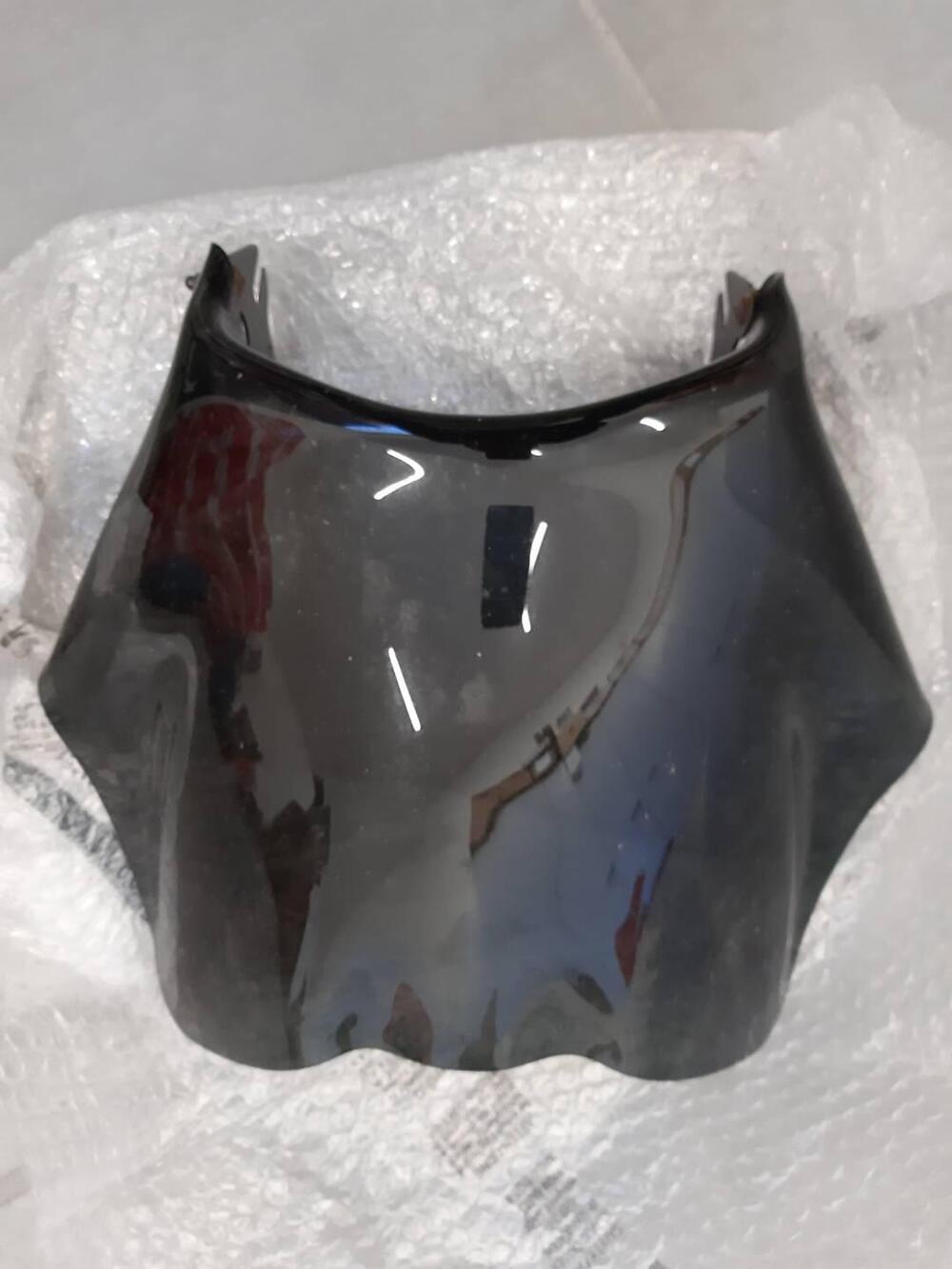 Cupolino Triumph Thunderbird 900 Motopoint Racing (3)