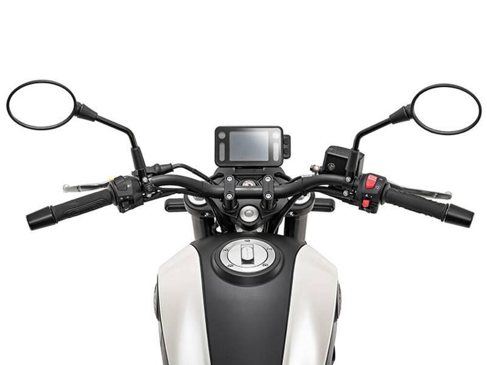 Benelli Leoncino 250 (2019 - 20) (5)