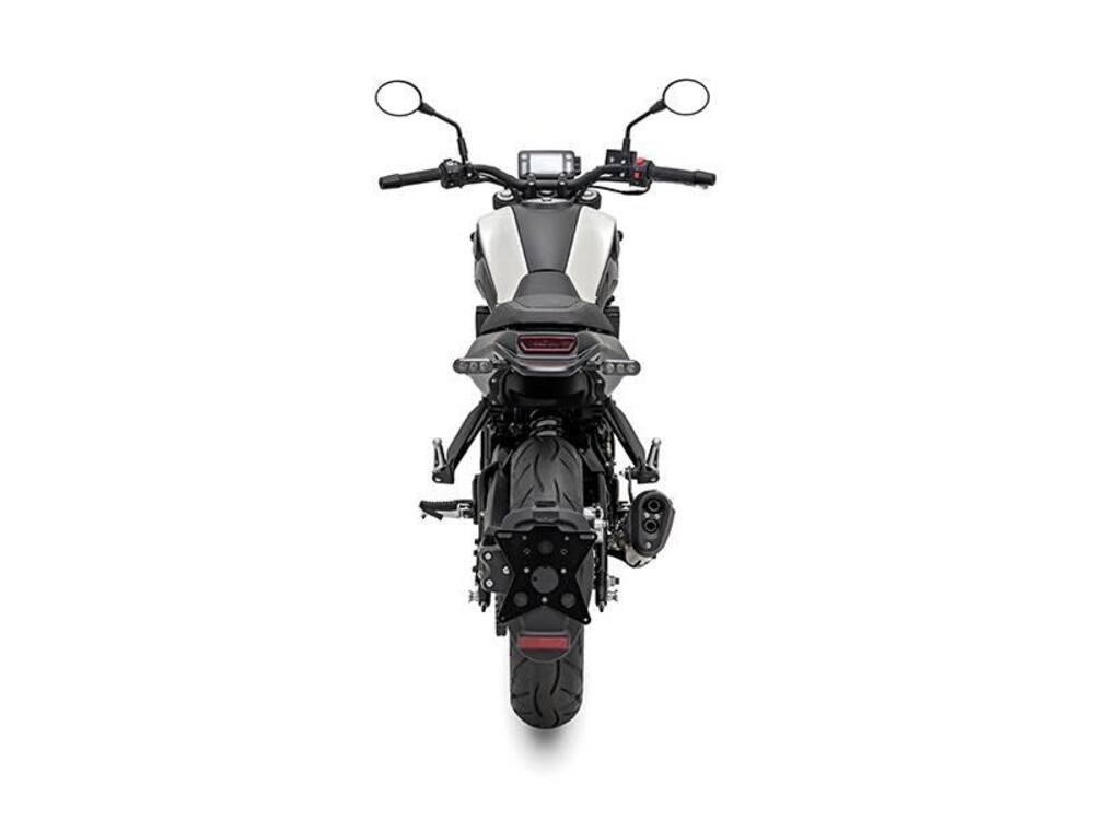 Benelli Leoncino 250 (2019 - 20) (6)