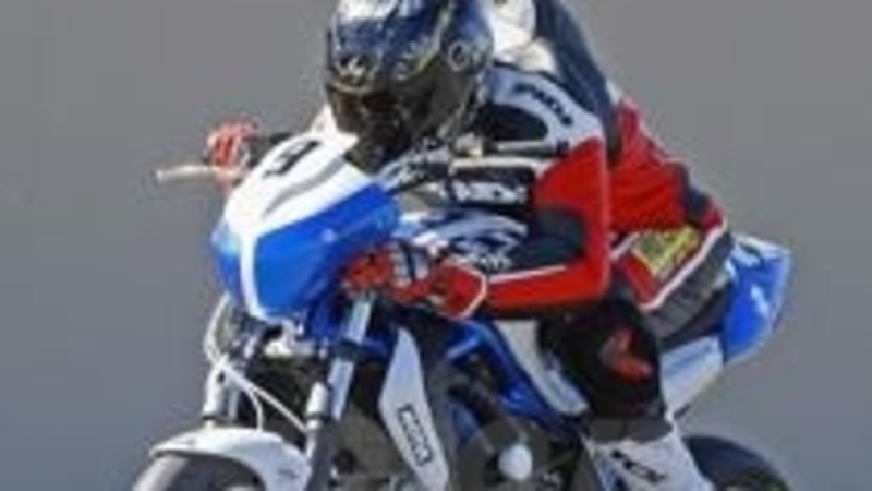 Si accendono i motori della Suzuki Gladius Cup 2012