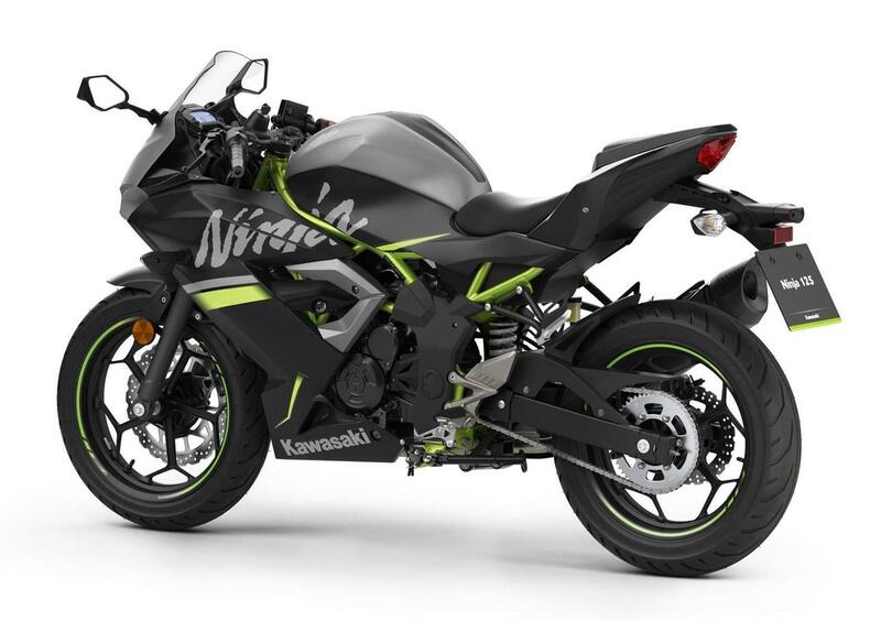 Kawasaki Ninja 125 Ninja 125 Performance (2020) (6)