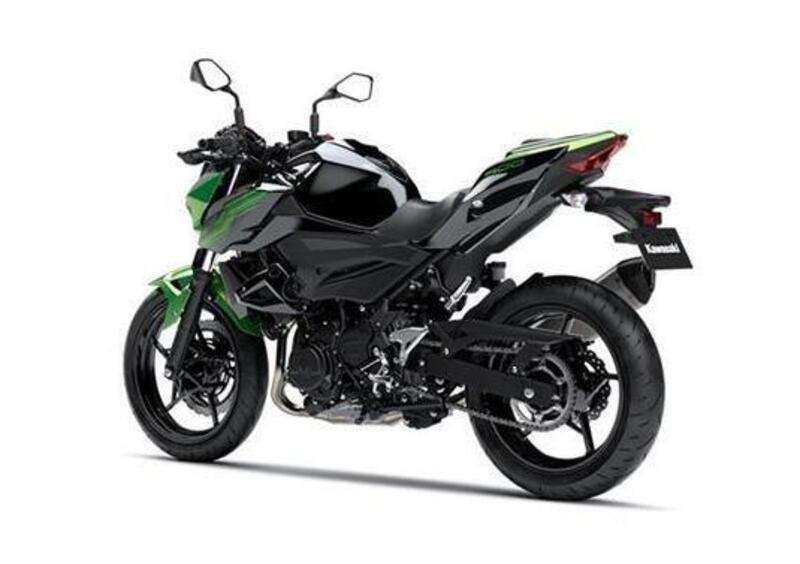 Kawasaki Z 400 Z 400 Performance (2020) (2)