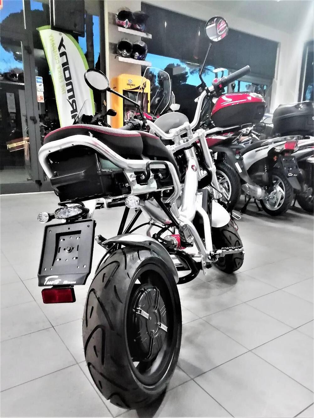 Garelli Ciclone Elettrico Passion (2020 - 25) (5)