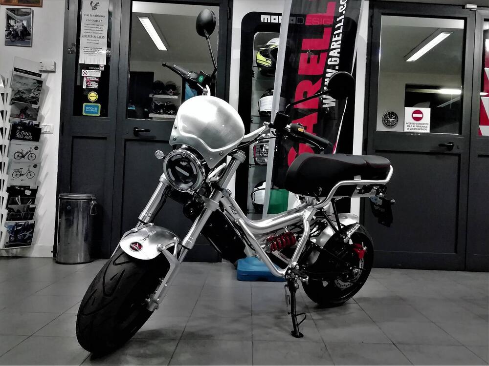 Garelli Ciclone Elettrico Passion (2020 - 25)