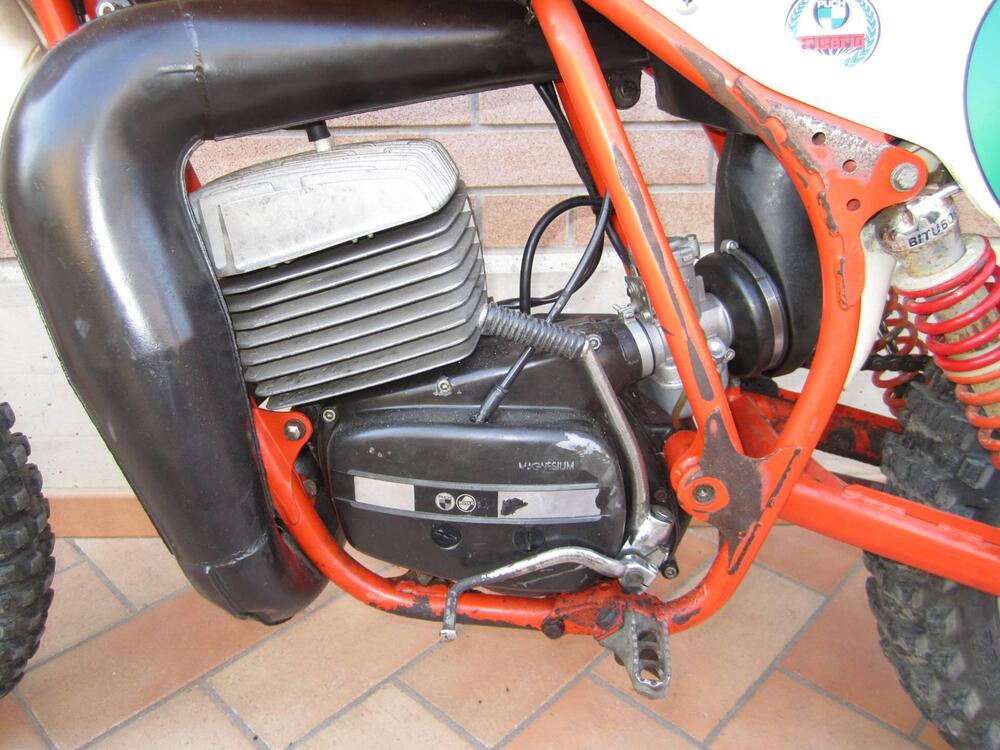 Puch Frigerio 250 F3 (3)