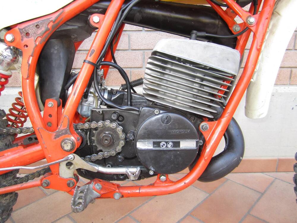 Puch Frigerio 250 F3 (4)