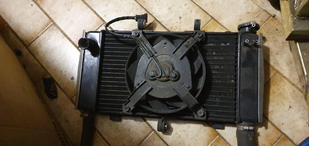 radiatore Z750 dal 07 al 2012 Kawasaki