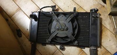 radiatore Z750 dal 07 al 2012 Kawasaki