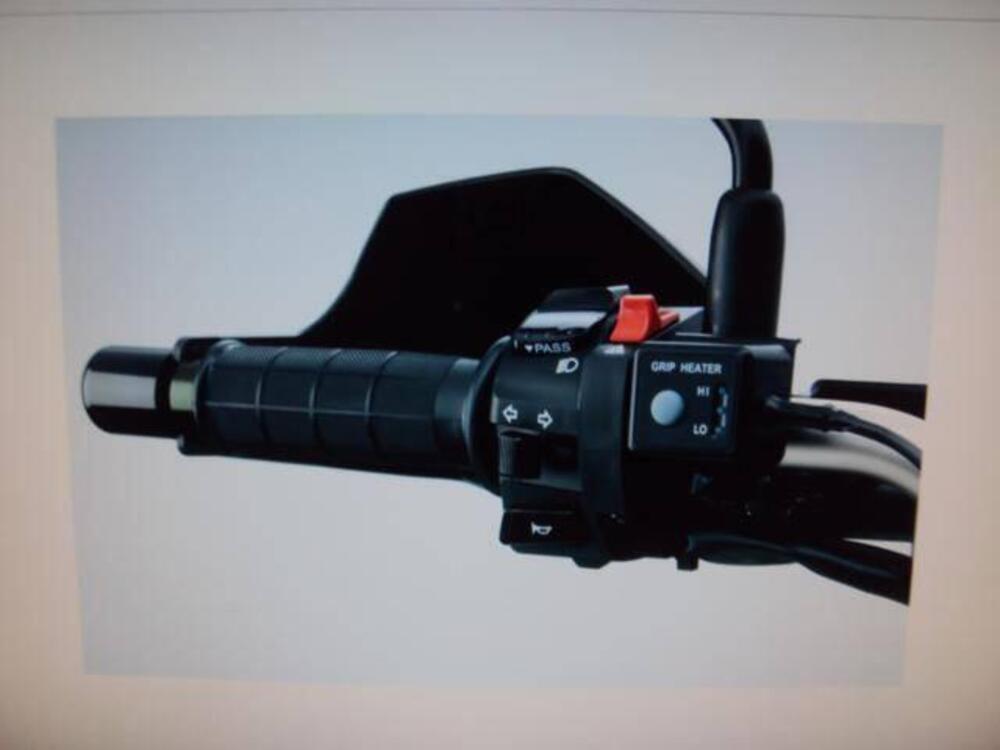 MANOPOLE RISCALDATE Suzuki (2)