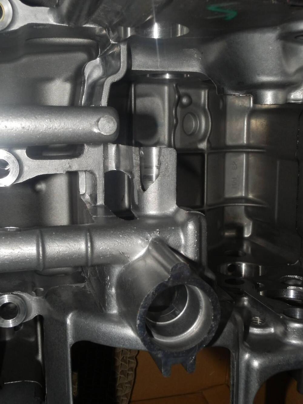 Carter Motore Honda Hornet 600 2000-2001 VV (7)