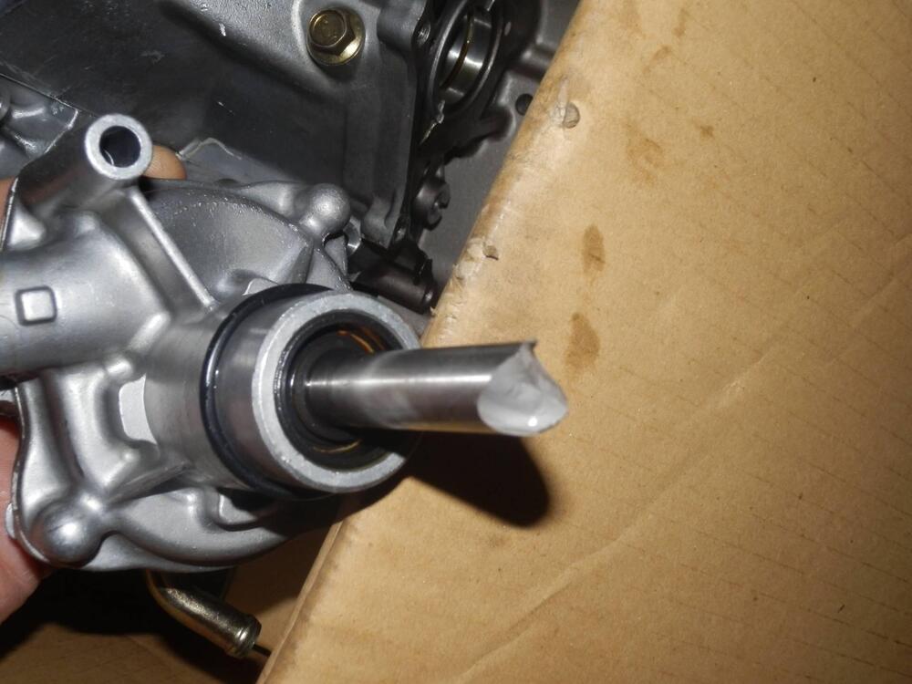 Carter Motore Honda Hornet 600 2000-2001 VV (8)