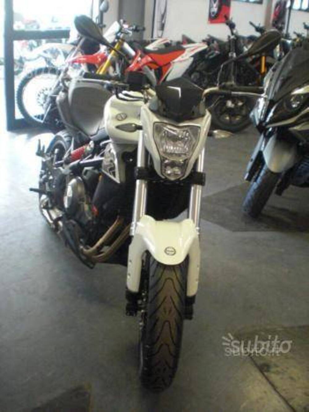 Benelli BN 302 (2014 - 16) (2)