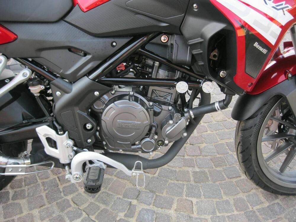 Benelli TRK 251 (2022 - 25) (12)