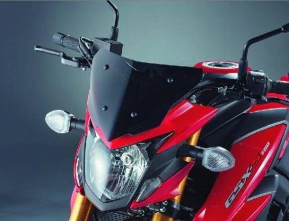 Cupolino GSXS 750 Suzuki