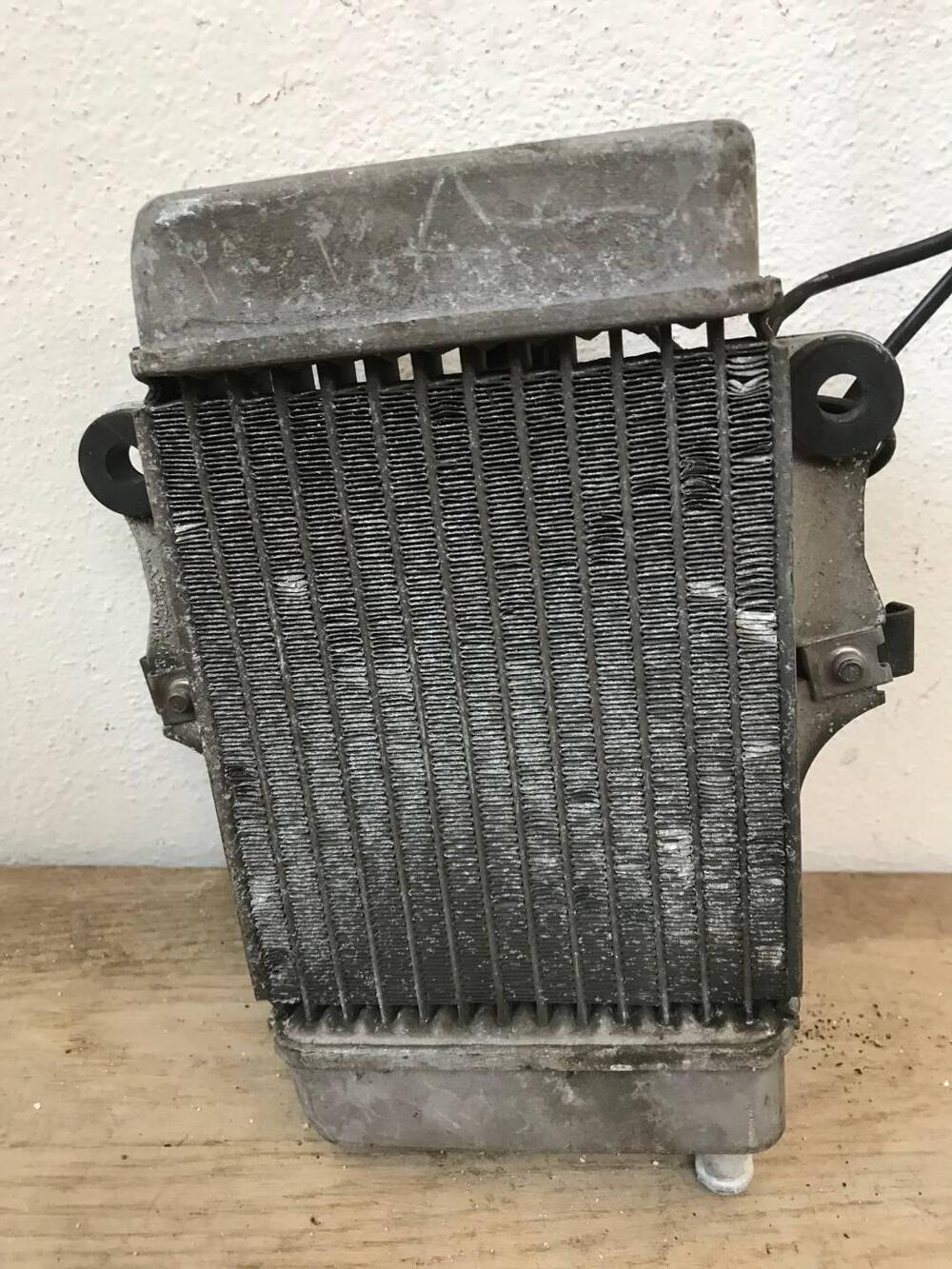 Radiatore grigio Honda Dylan con ventola SL (5)