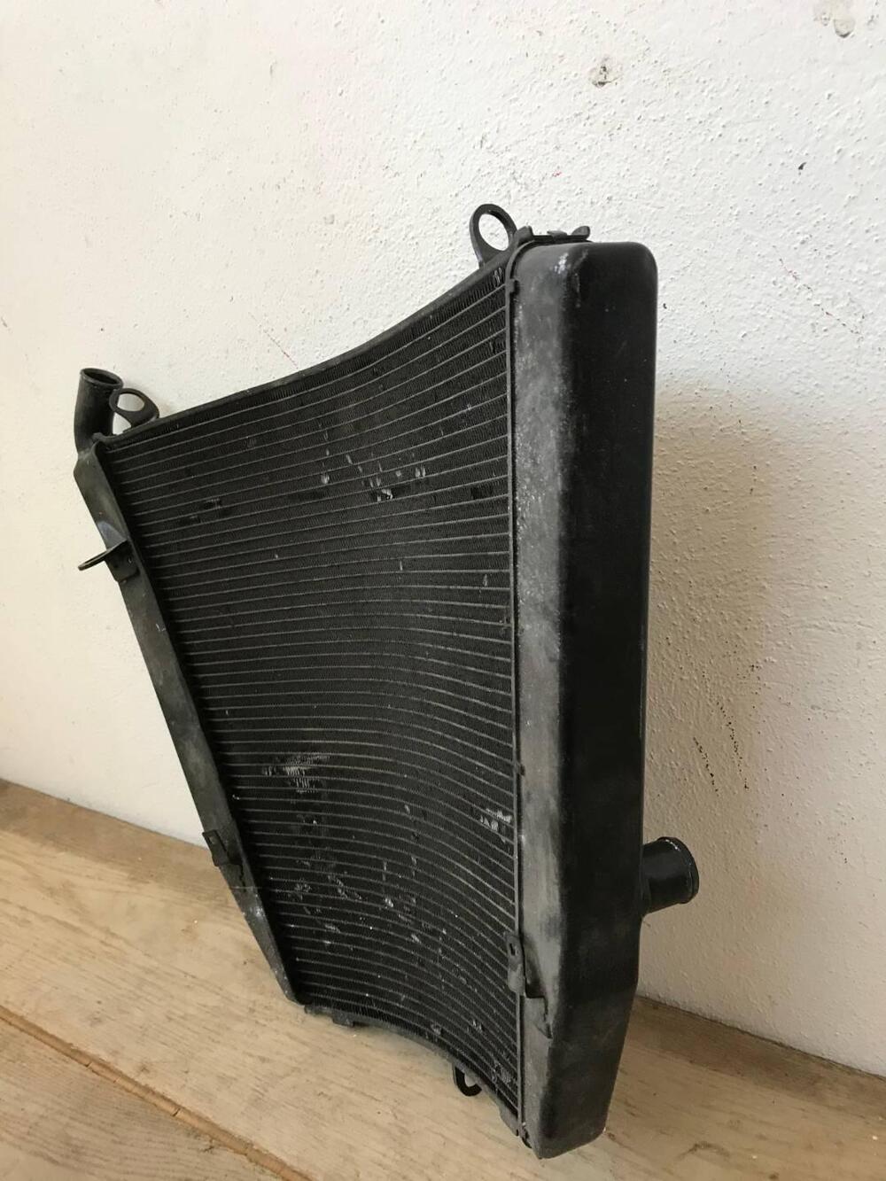 Radiatore I Honda S.L (3)