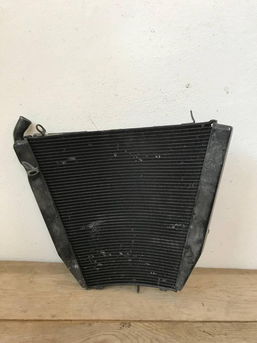 Radiatore I Honda S.L (5)