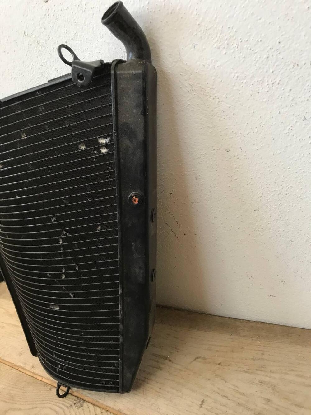 Radiatore II Honda S.L (6)