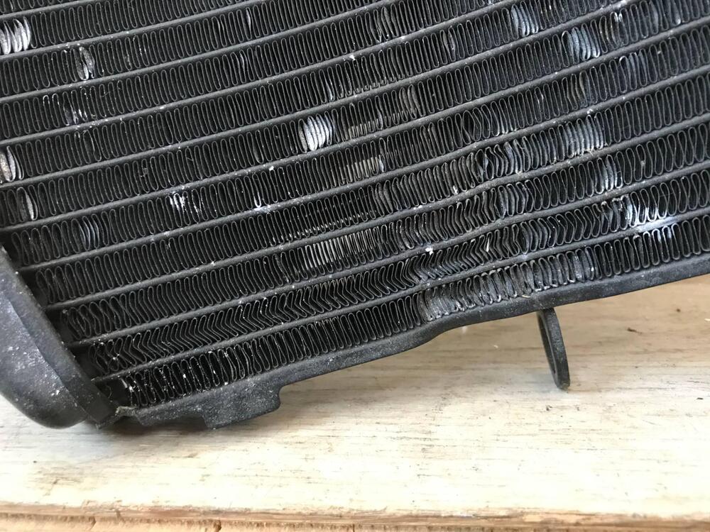 Radiatore II Honda S.L (7)