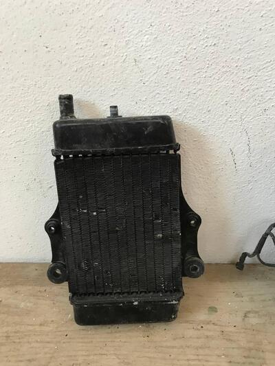 Radiatore nero Honda Dylan S.L
