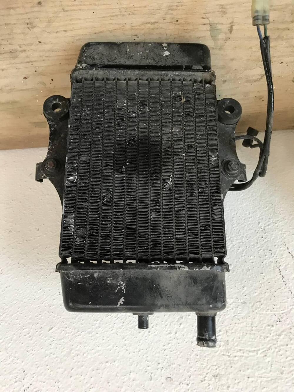 Radiatore nero Honda Dylan con ventola S.L