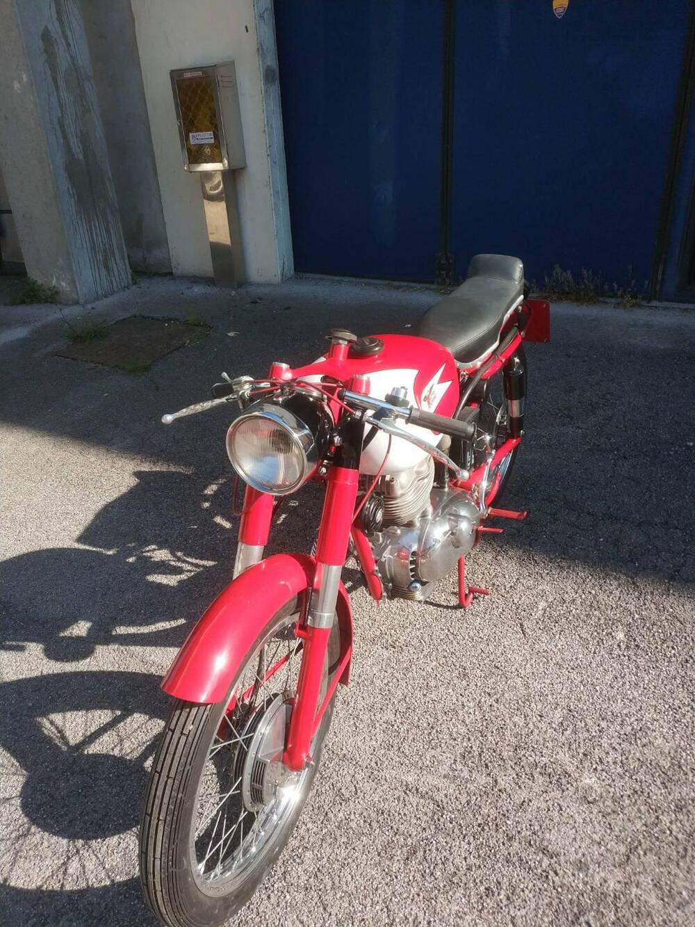 Moto Morini SETTEBELLO  175 (6)