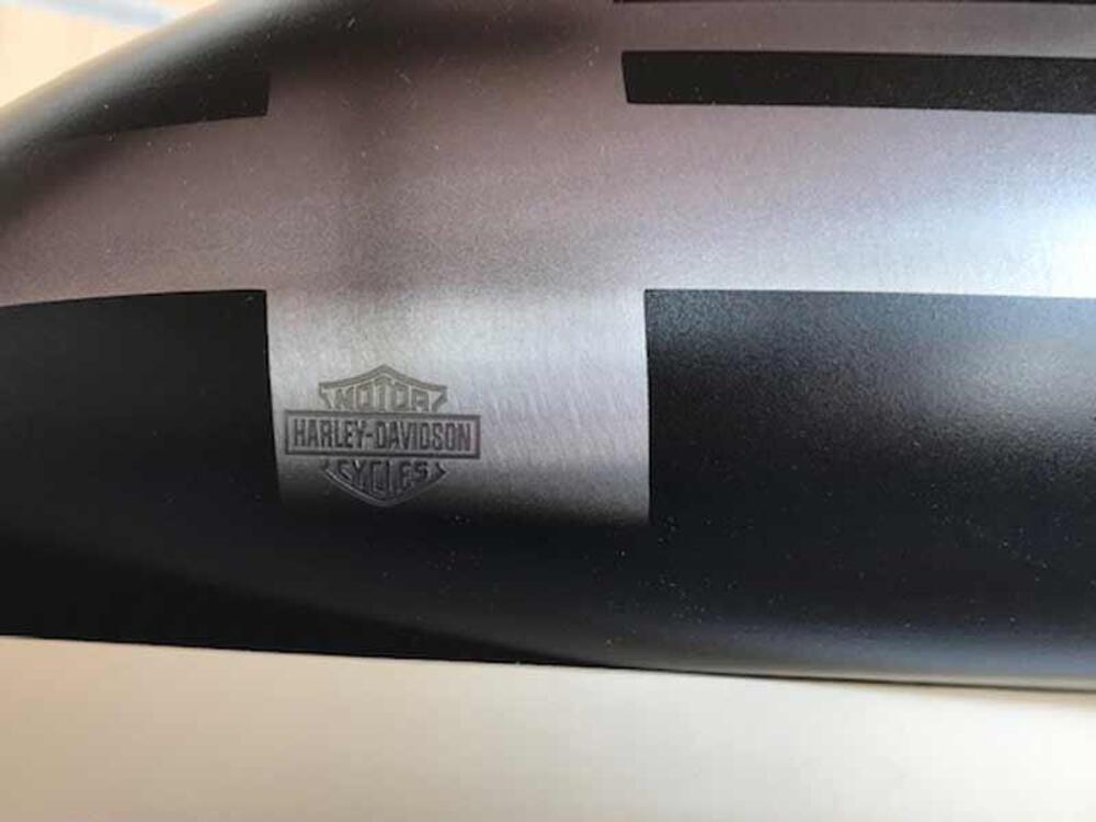HARLEY-DAVIDSONCROSS BONES KIT CARROZZERIA (2)