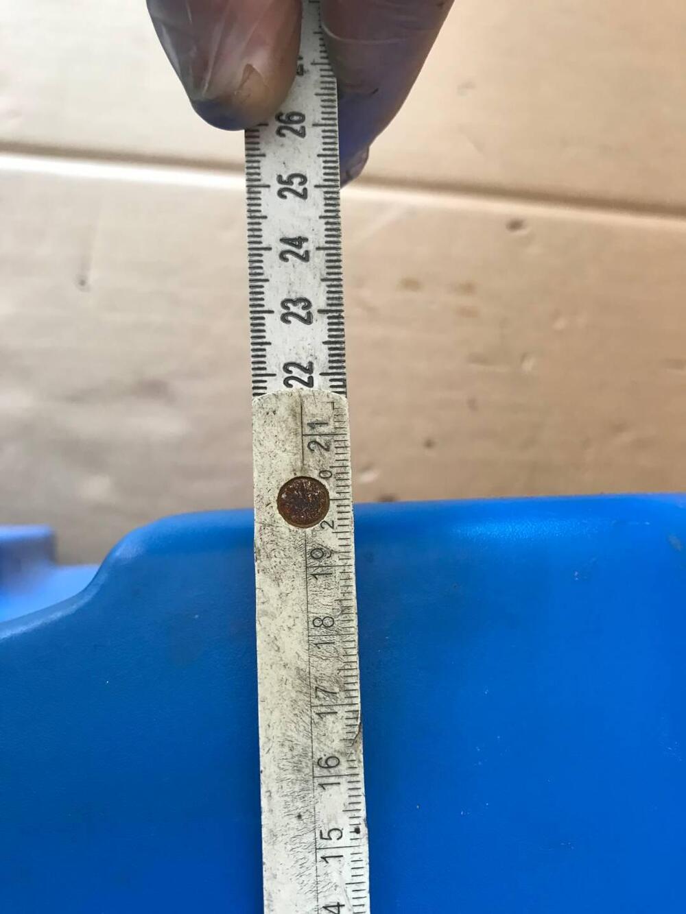 Borse laterali KRAUSER VV (10)