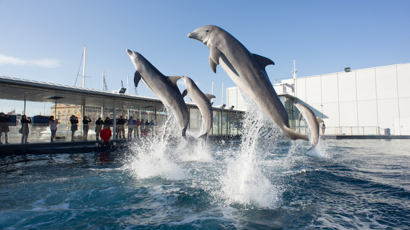 Atene - Gibilterra, il percorso. Genova, l&#039;Acquario e il Porto Antico