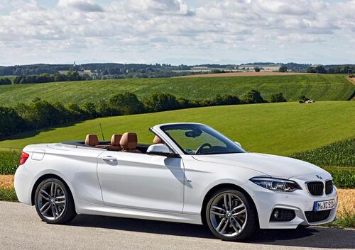 BMW Serie 2 Cabrio (2015-21)