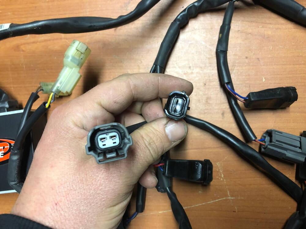 Centralina Rapid Bike Honda CBR 1000 RR 04-05 Rapid Bike 2 (4)