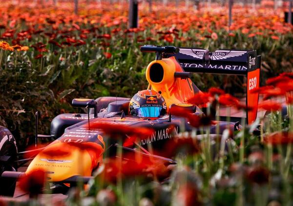 Formula 1: cancellato il Gran Premio d&rsquo;Olanda 