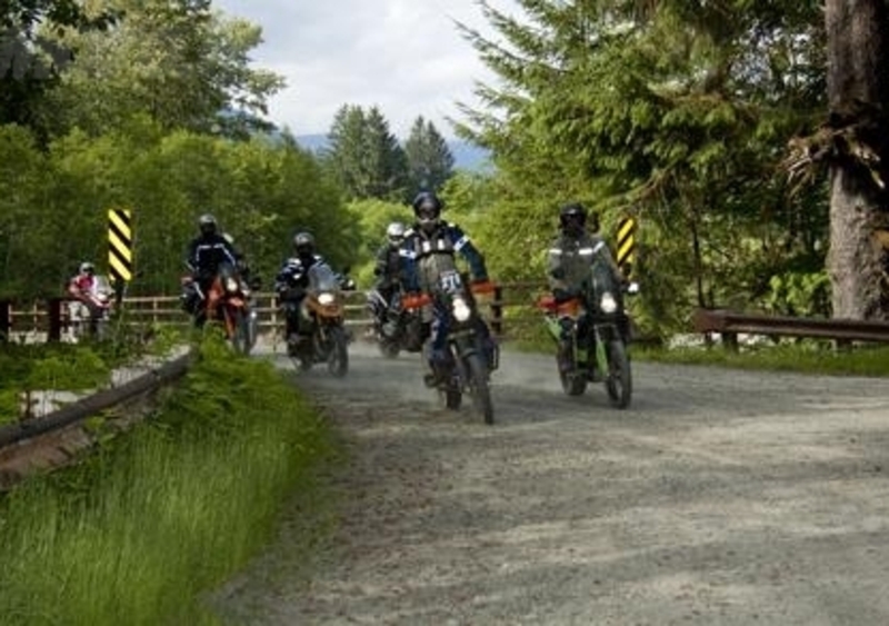 Hoh Rainforest. Alla scoperta delle foreste pluviali d&#039;America